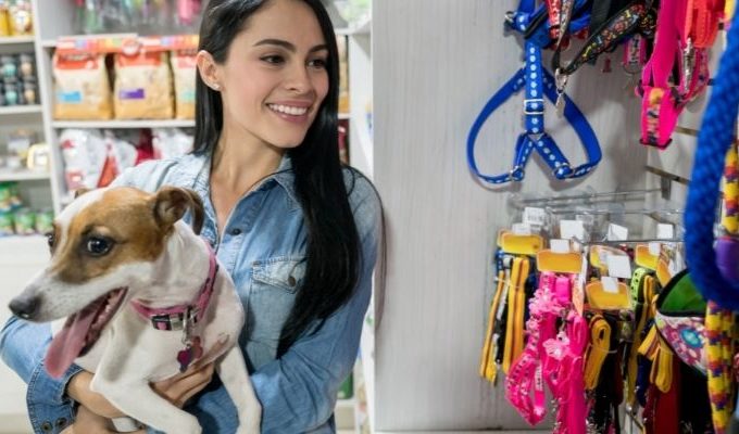 como-montar-um-pet-shop-lucrativo