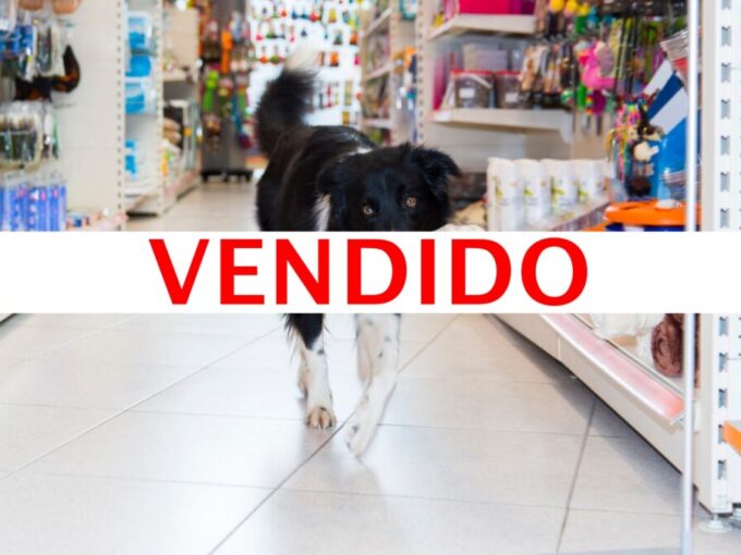 pet-shop-em-funcionamento-no-salgado-filho