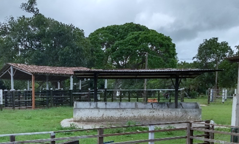 Belíssima Fazenda à Venda em Sergipe-tanques