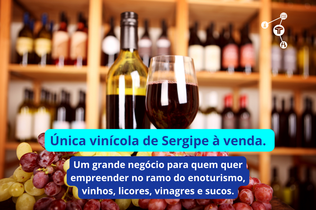 Única vinícola de Sergipe à venda