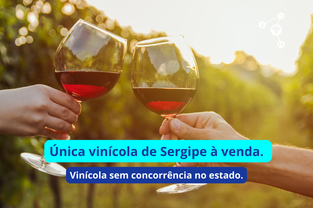 Única vinícola de Sergipe à venda (3)