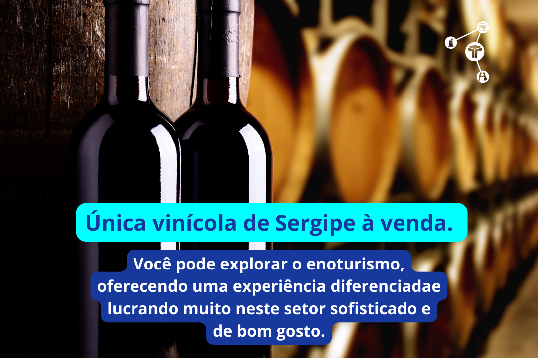 Única vinícola de Sergipe à venda (4)
