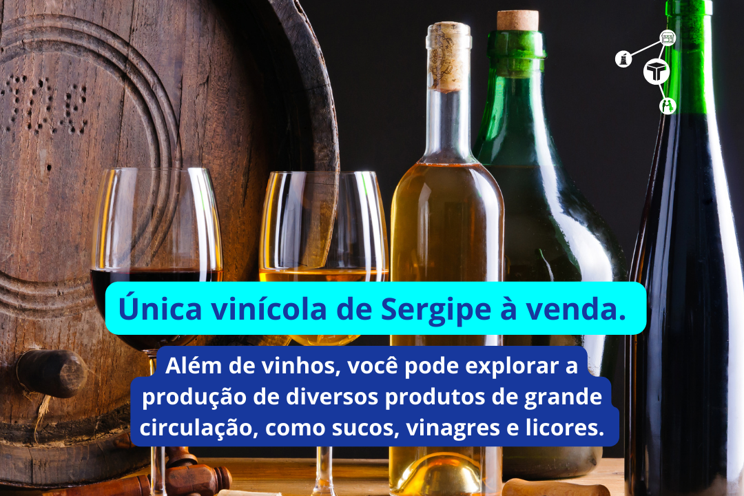 Única vinícola de Sergipe à venda (5)