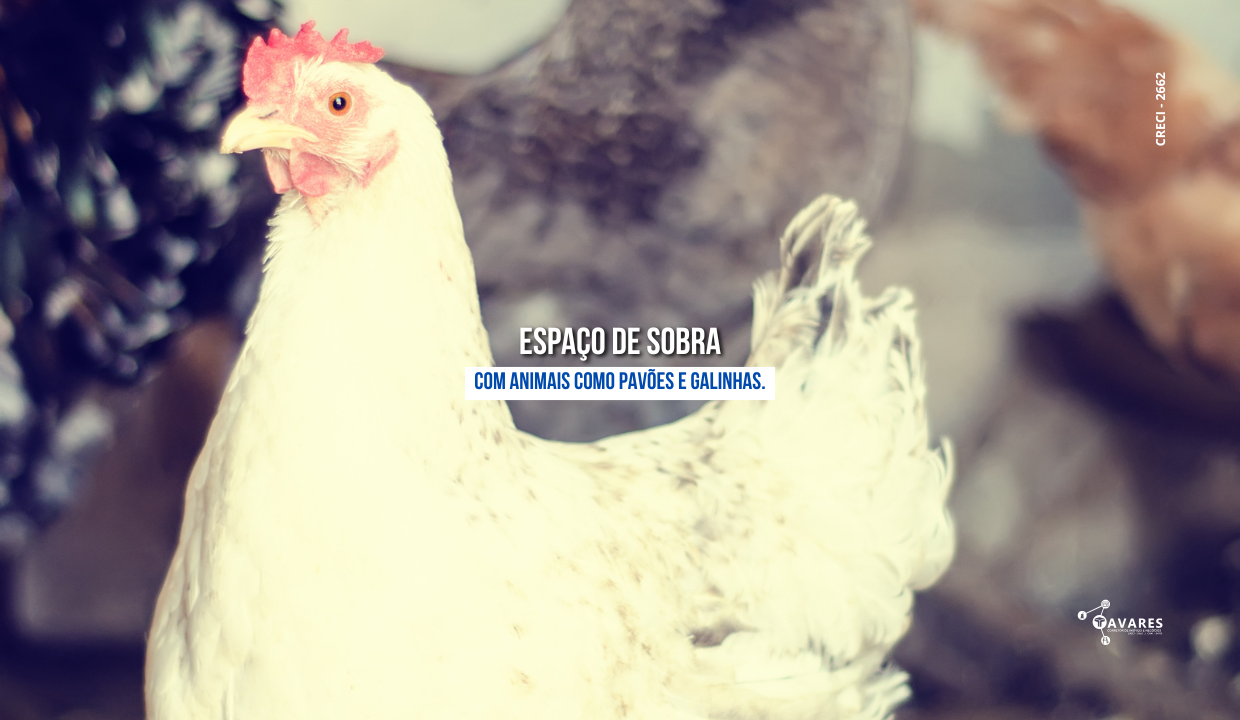 chácara em itaporanga (3)