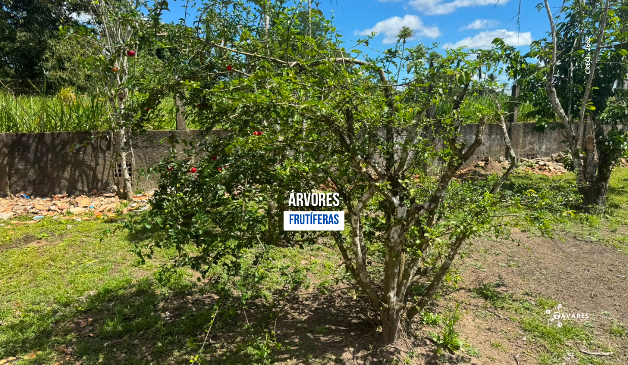 chácara em itaporanga (4)