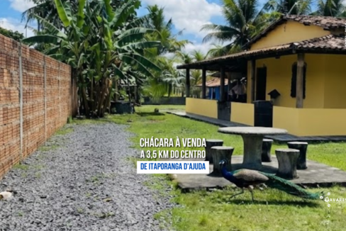 chácara à venda