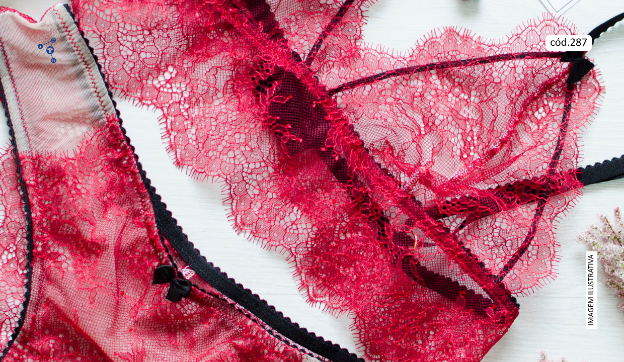 cod287-loja-de-lingerie-a-venda